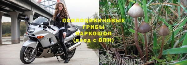 соль ск Зерноград