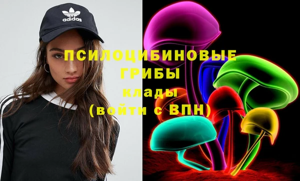 МДПВ Алексеевка