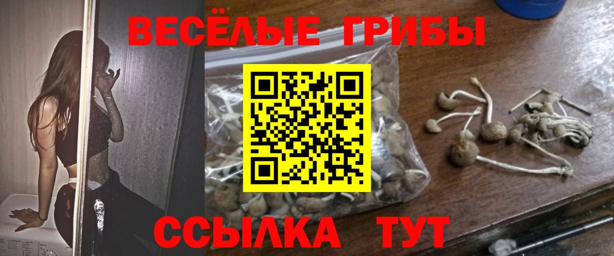 Галлюциногенные грибы прущие грибы Дербент