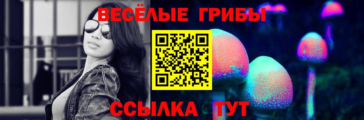 Галлюциногенные грибы Cubensis  Вход с VPN  Дербент 